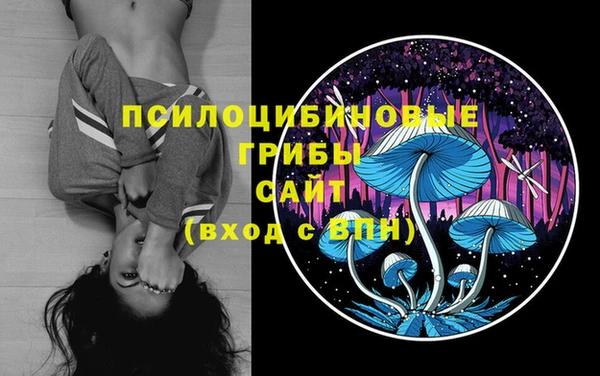 кокаин Богданович