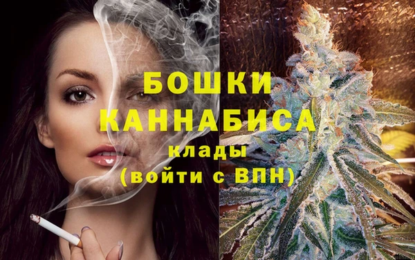 хмурый Белокуриха
