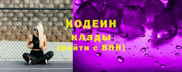 хмурый Белокуриха