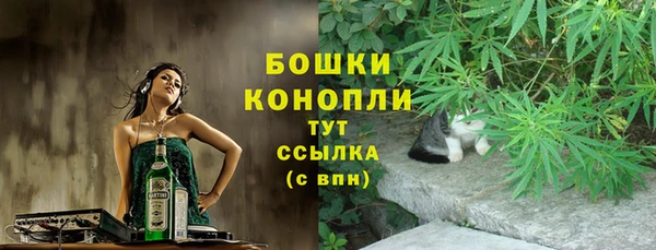 сатива Белоозёрский