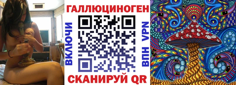 Галлюциногенные грибы прущие грибы  Болотное 